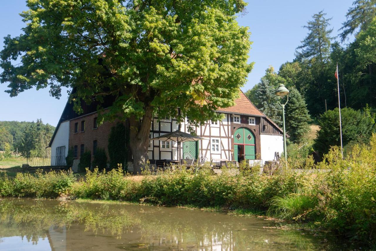 Suffelmuehle Villa Bad Driburg Exterior photo